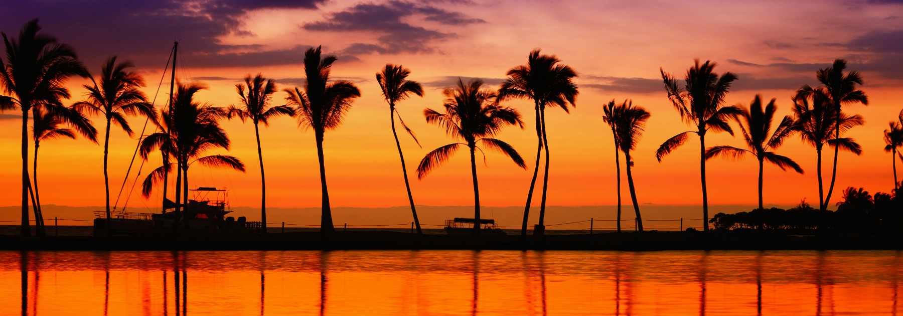 travel vaccines in Greenwich